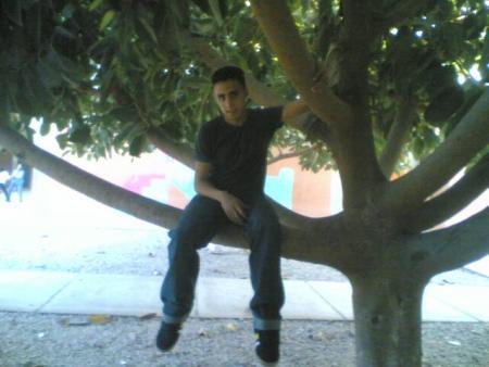 morad khoya